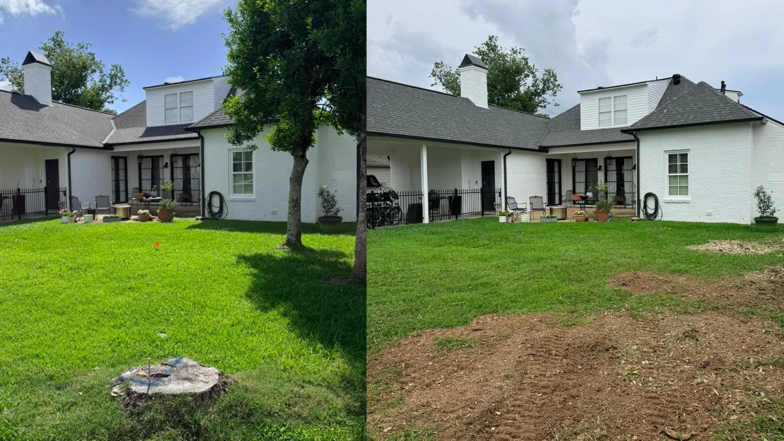 Large backyard tree stump removed and ground level, before and after