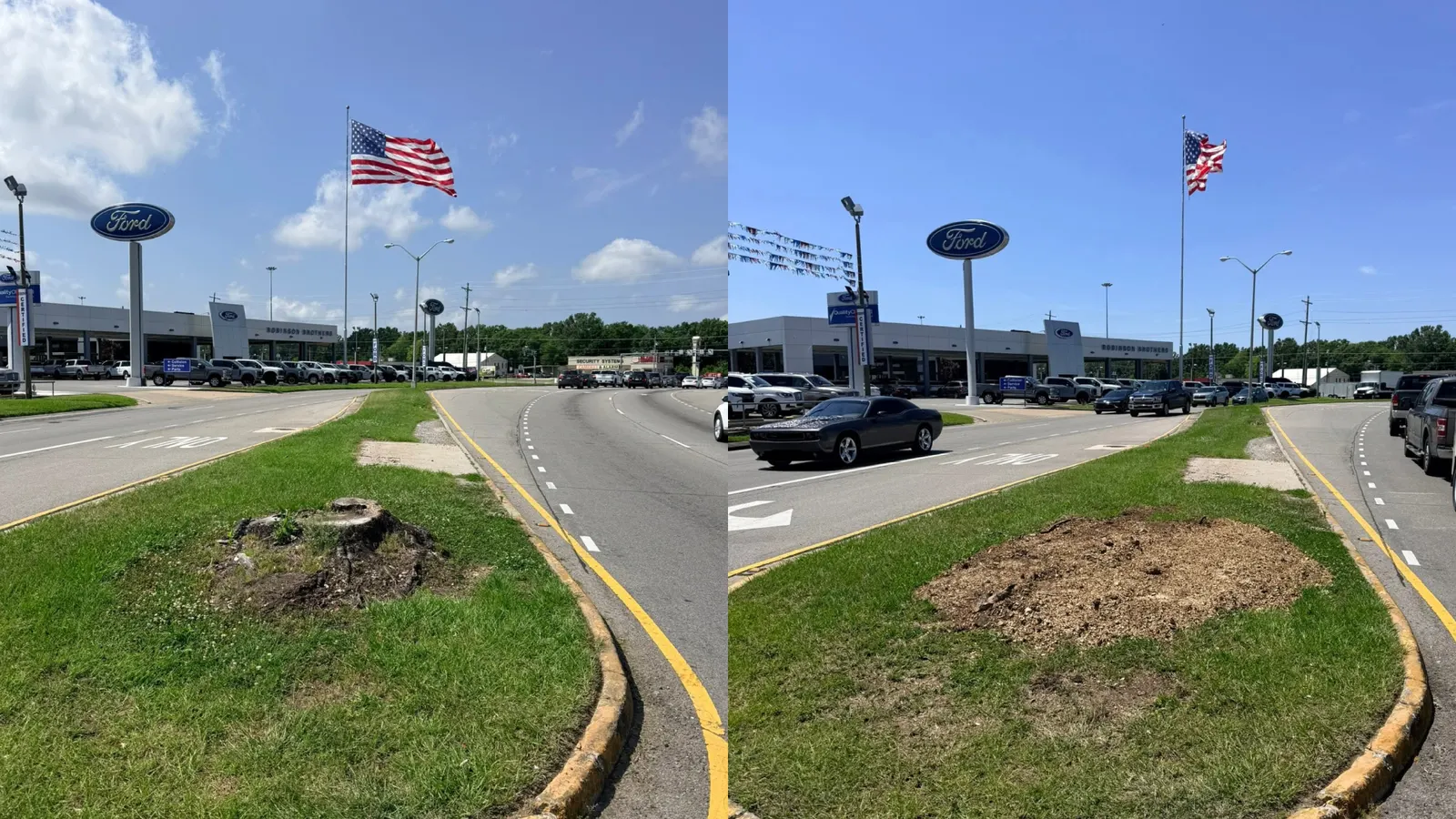 Median stump removed at a commercial dealership lot, before and after