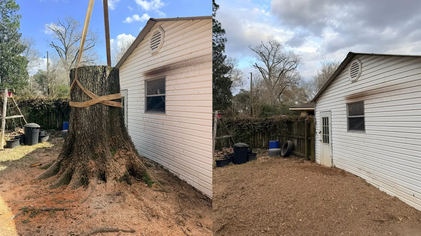 Tree removal and full site cleanup beside a home, before and after